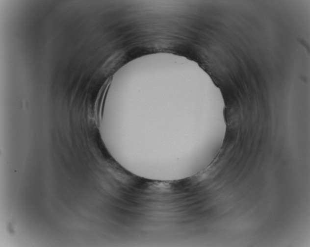 X0000098050140200804251113