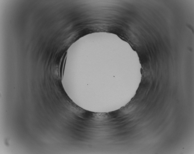 X0000098050141200804251113