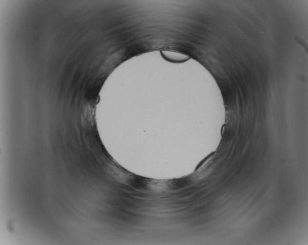 X0000098050142200804251113
