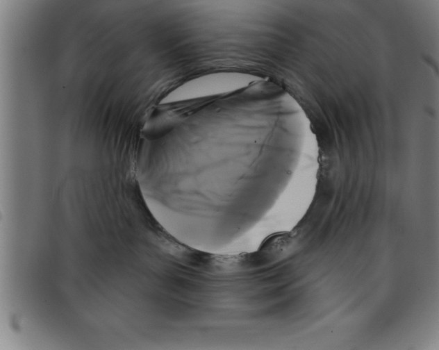 X0000098050143200804251113