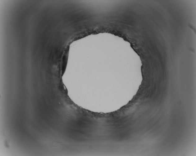 X0000098050144200804251113