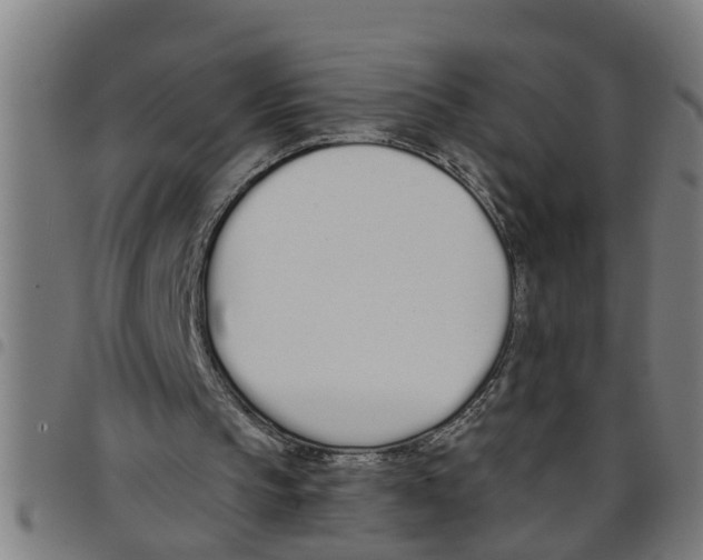 X0000098050145200804251112