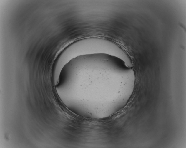 X0000098050146200804251112