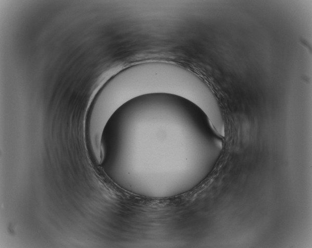 X0000098050148200804251112