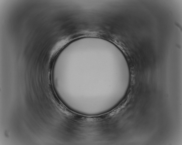 X0000098050149200804251112