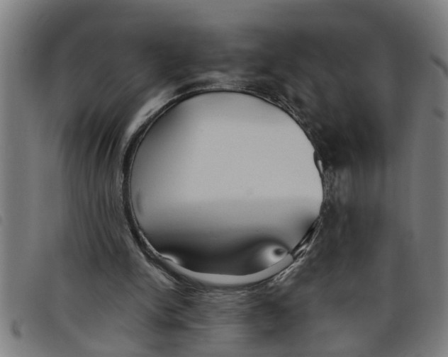 X0000098050150200804251112