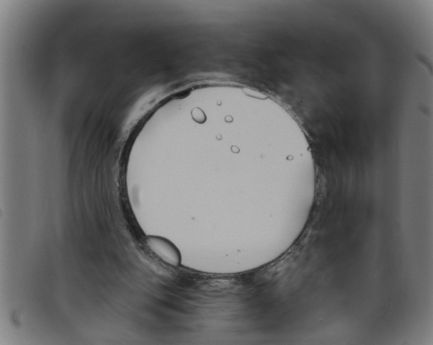 X0000098050151200804251112