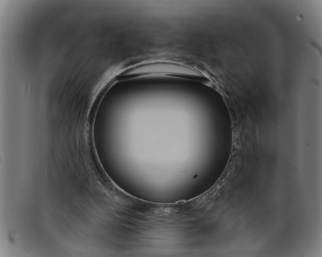 X0000098050152200804251112