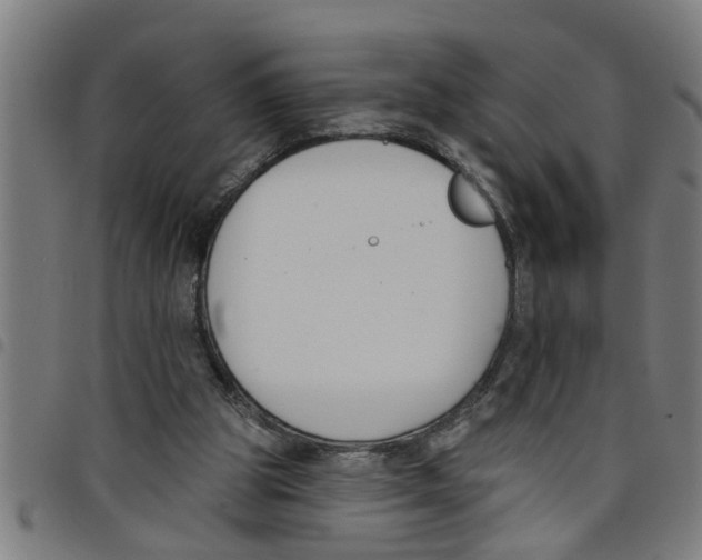 X0000098050153200804251112