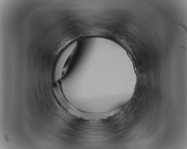 X0000098050154200804251112