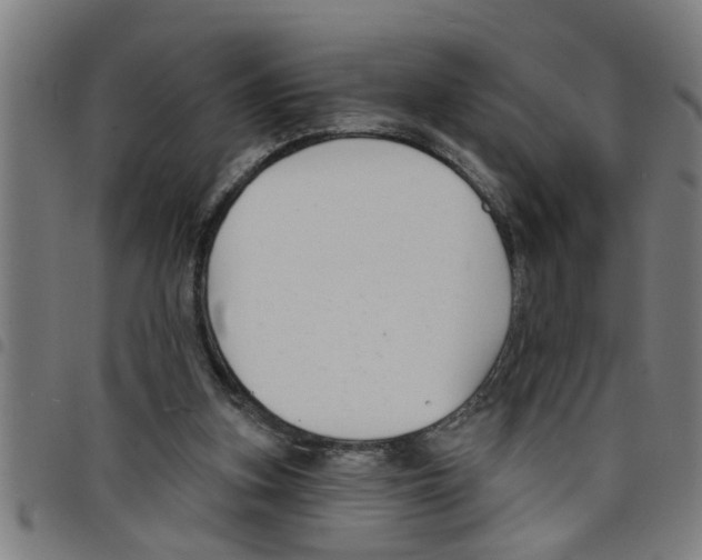 X0000098050155200804251112