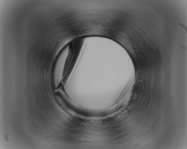 X0000098050156200804251112