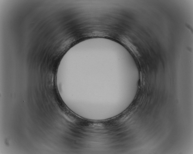 X0000098050157200804251112