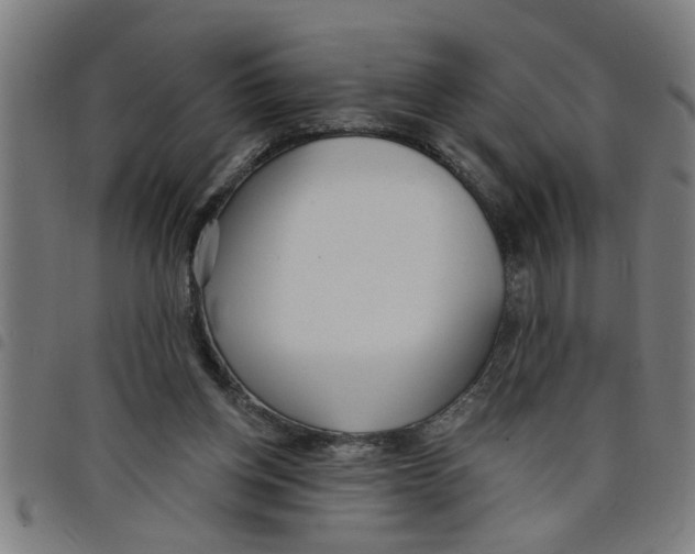 X0000098050158200804251112
