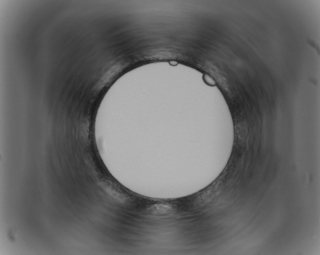 X0000098050159200804251112