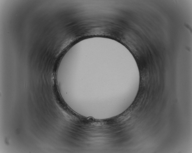 X0000098050160200804251112