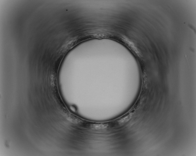 X0000098050161200804251112