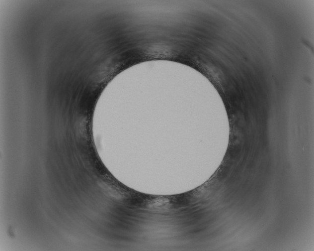 X0000098050162200804251112