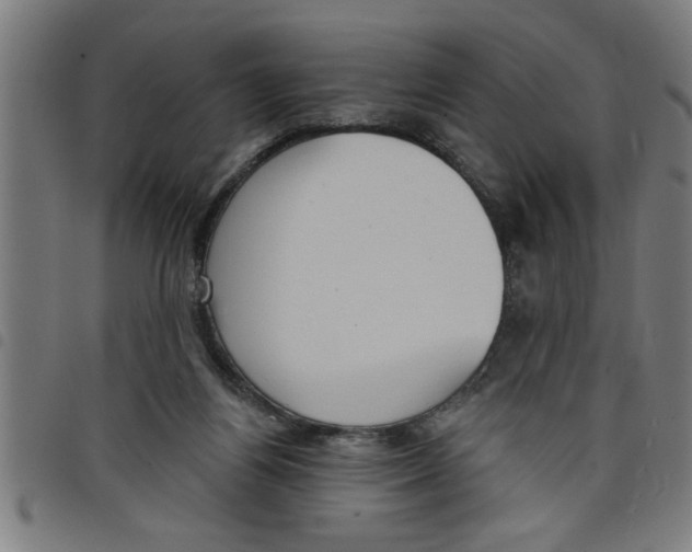 X0000098050164200804251112