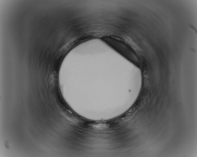 X0000098050165200804251112