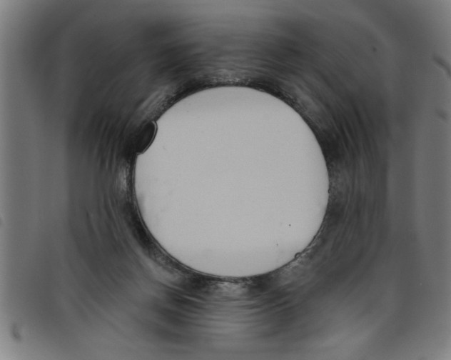 X0000098050166200804251112