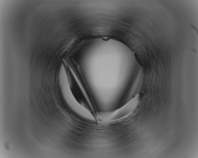 X0000098050168200804251112