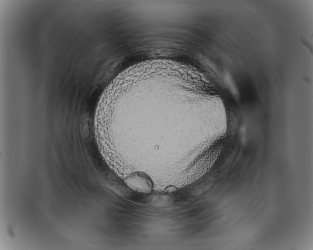 X0000098050169200804251113