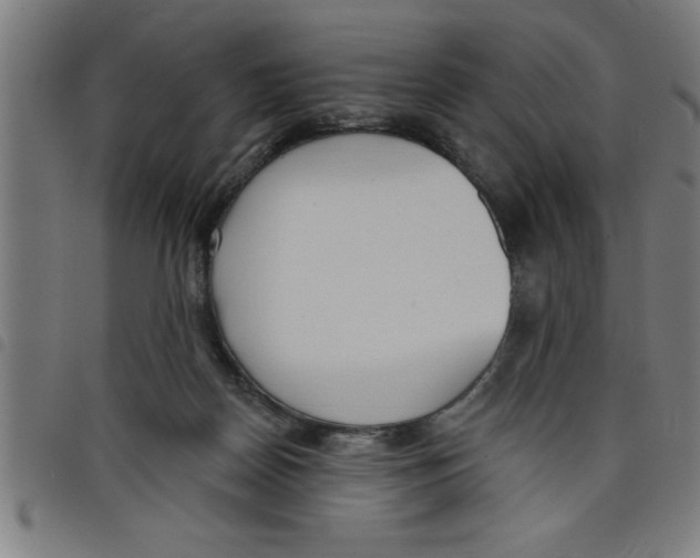 X0000098050170200804251113