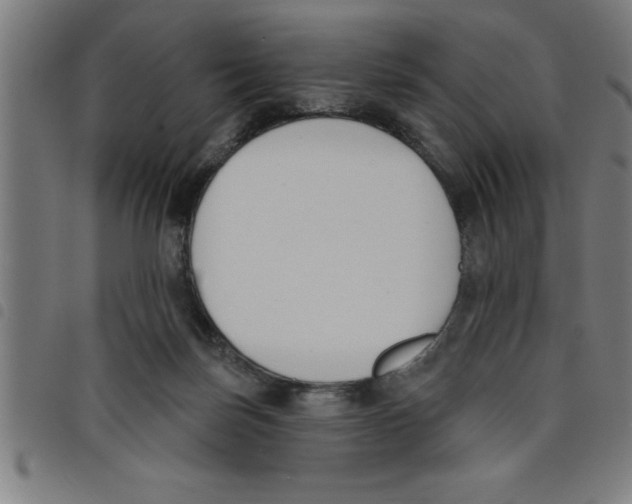 X0000098050171200804251113