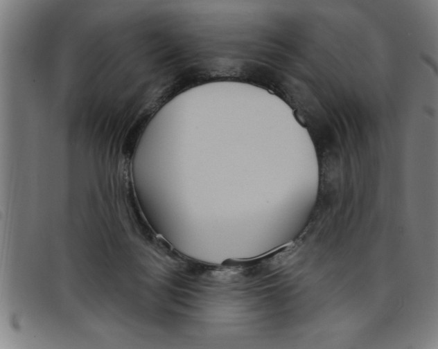 X0000098050172200804251113