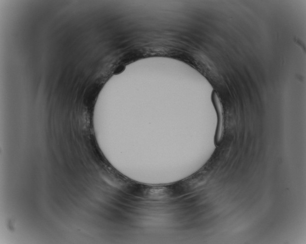 X0000098050173200804251113