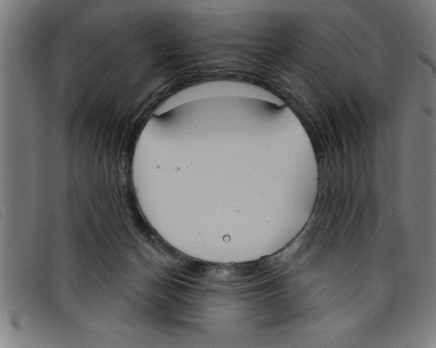 X0000098050174200804251113