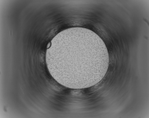 X0000098050175200804251113