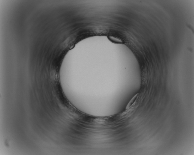 X0000098050176200804251113