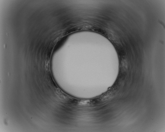 X0000098050177200804251113