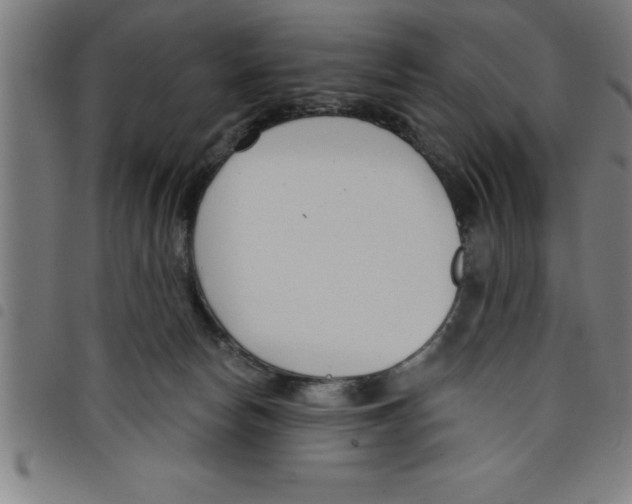 X0000098050178200804251113