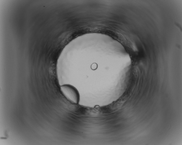 X0000098050181200804251113