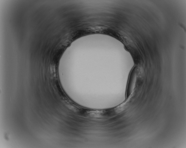 X0000098050182200804251113