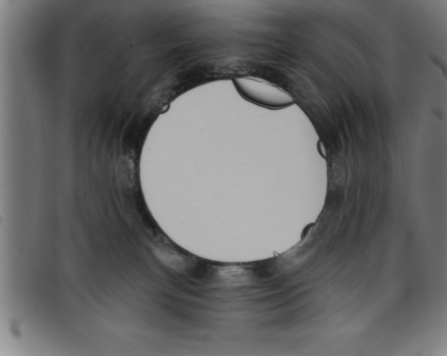X0000098050183200804251113