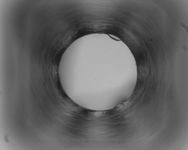 X0000098050184200804251113