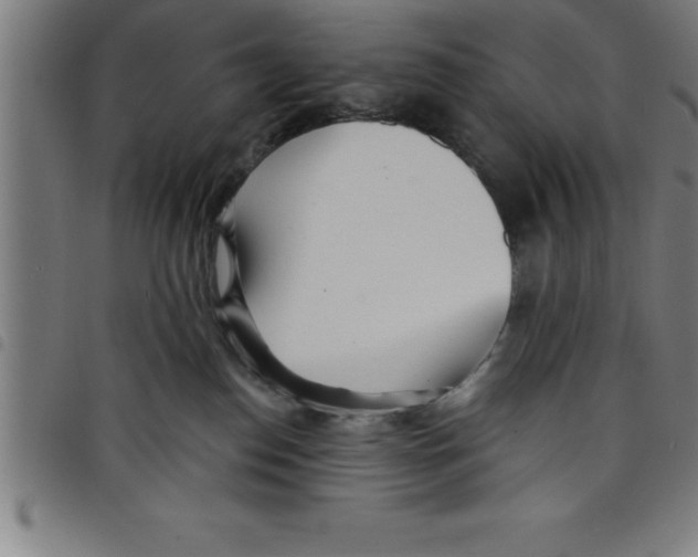 X0000098050186200804251113