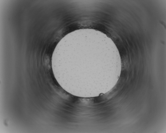 X0000098050187200804251113