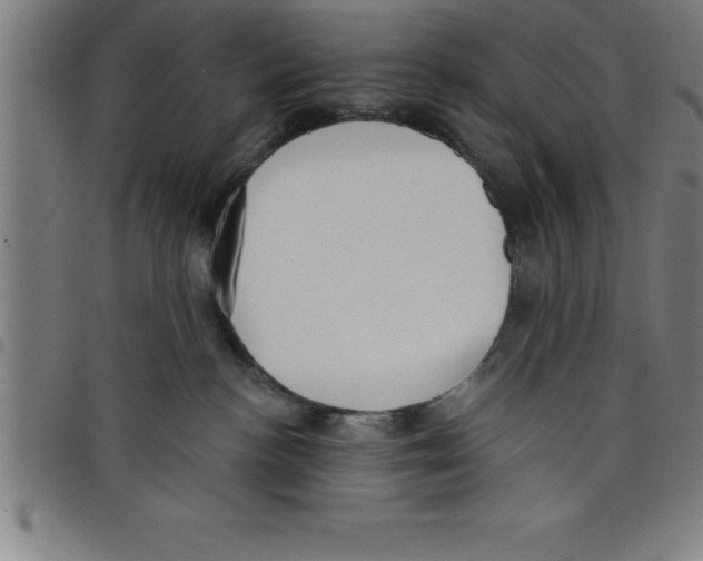 X0000098050188200804251113