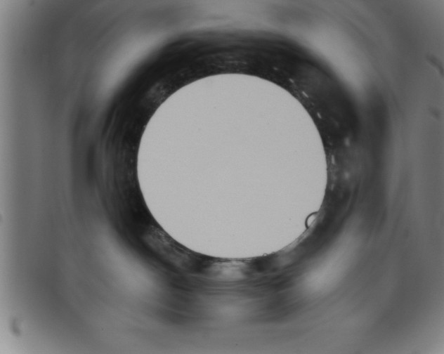 X0000098050190200804251113