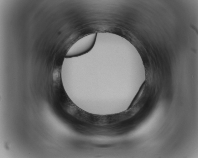 X0000098050191200804251113
