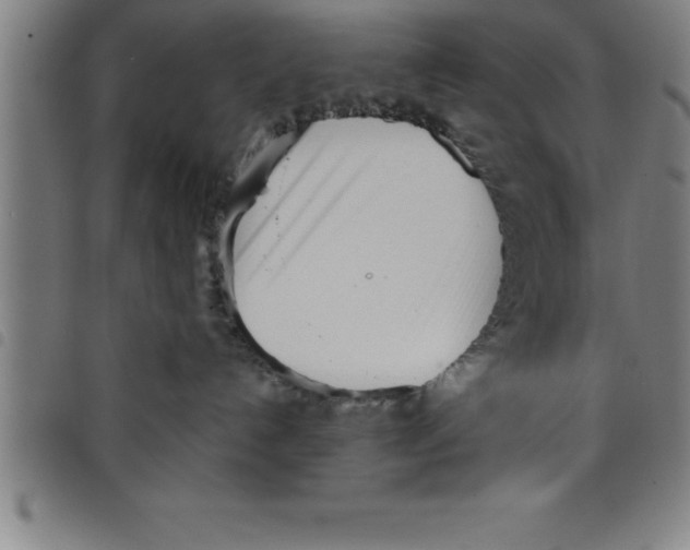 X0000098050192200804251113