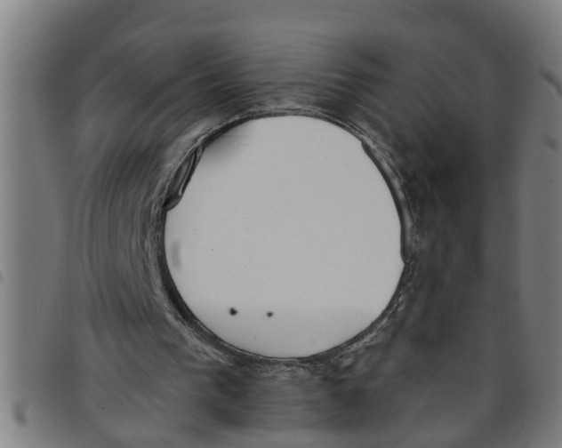X0000098050193200804251112