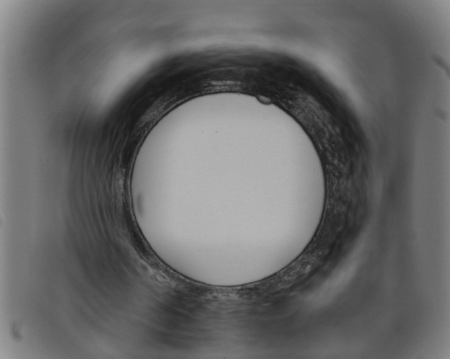X0000098050194200804251112