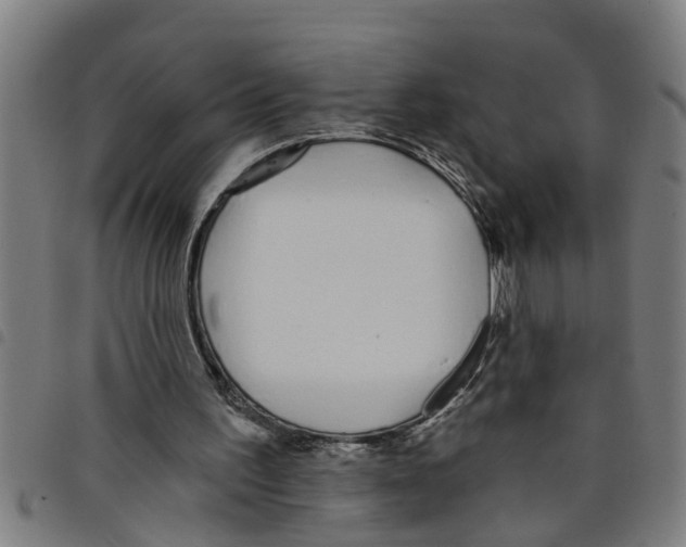 X0000098050195200804251112