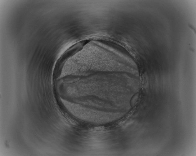 X0000098050196200804251112